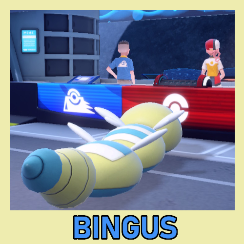 Bingus